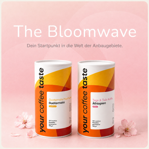 Tastewave Starter