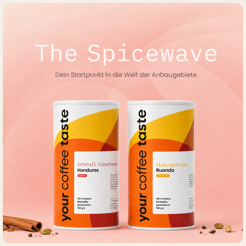 Tastewave Starter