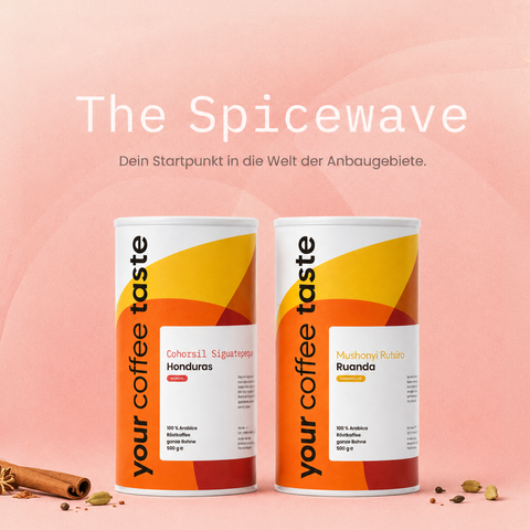 Tastewave Starter