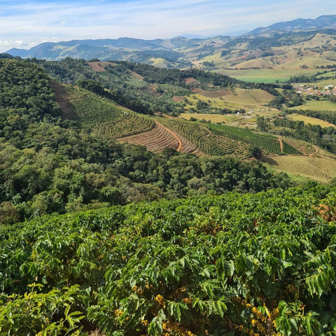 Bacana Cerrado