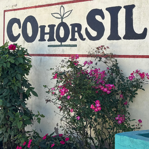 Cohorsil Siguatepeque