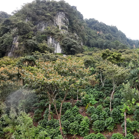 Guatemala Huehuetenango