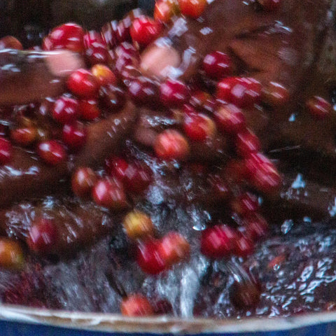 Mushonyi Rutsiro