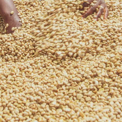 Nyamyumba Rubavu
