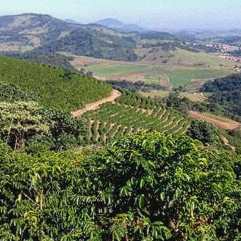 Sítio Dois Irmãos Cerrado
